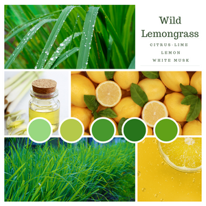 Wild Lemongrass