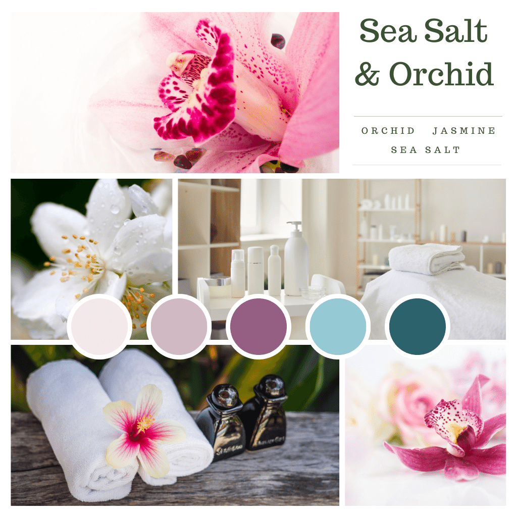 Variety Pack Sea Salt & Orchid and Pineapple Sage