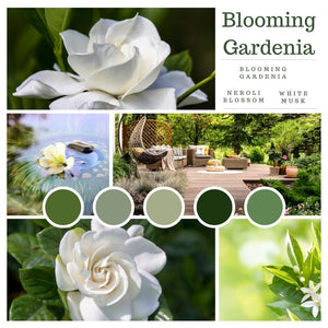 Blooming Gardenia - Bluesprucecandles
