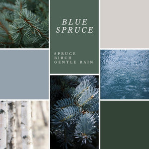 Blue Spruce - Bluesprucecandles